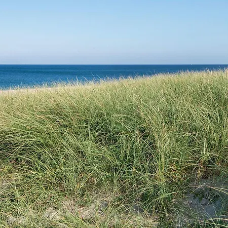 Ferienhaus 12 Person In Harboore-by Traum